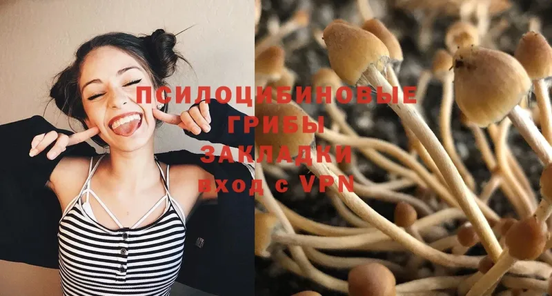 Галлюциногенные грибы Psilocybine cubensis  что такое наркотик  Боготол 